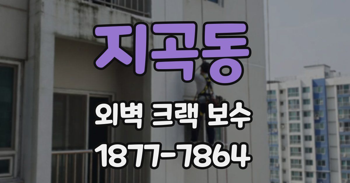 지곡동 외벽 크랙 보수