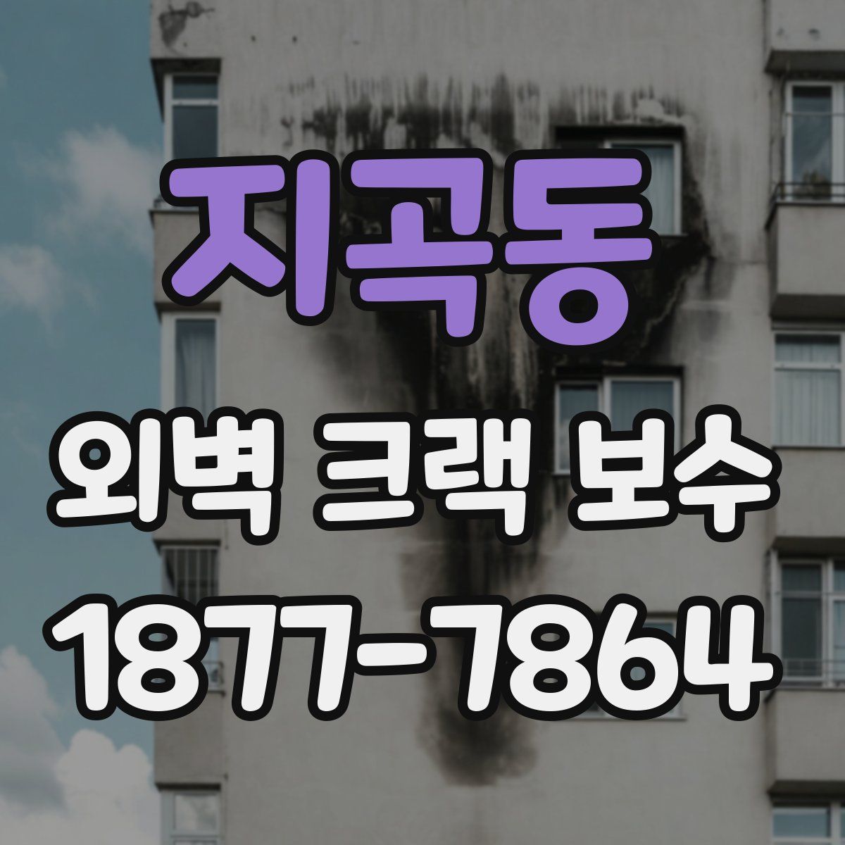 지곡동 외벽 크랙 보수