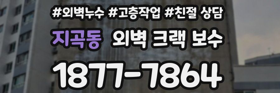 지곡동 외벽 크랙 보수