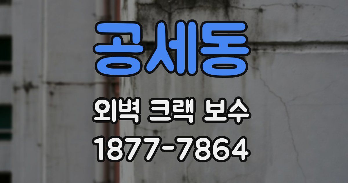공세동 외벽 크랙 보수