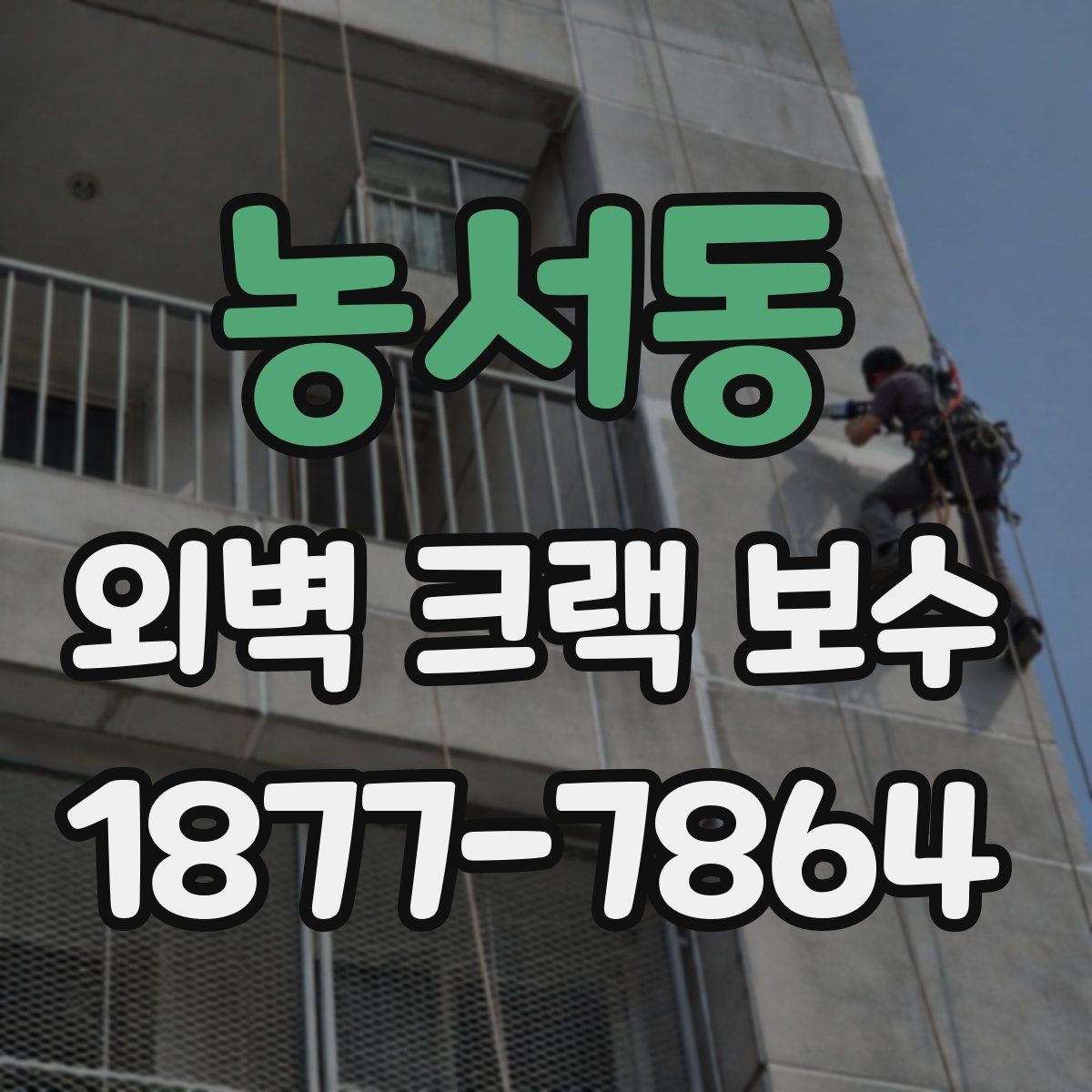 농서동 외벽 크랙 보수