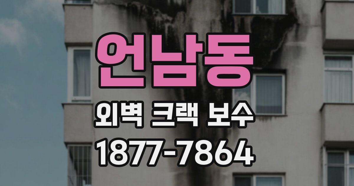언남동 외벽 크랙 보수