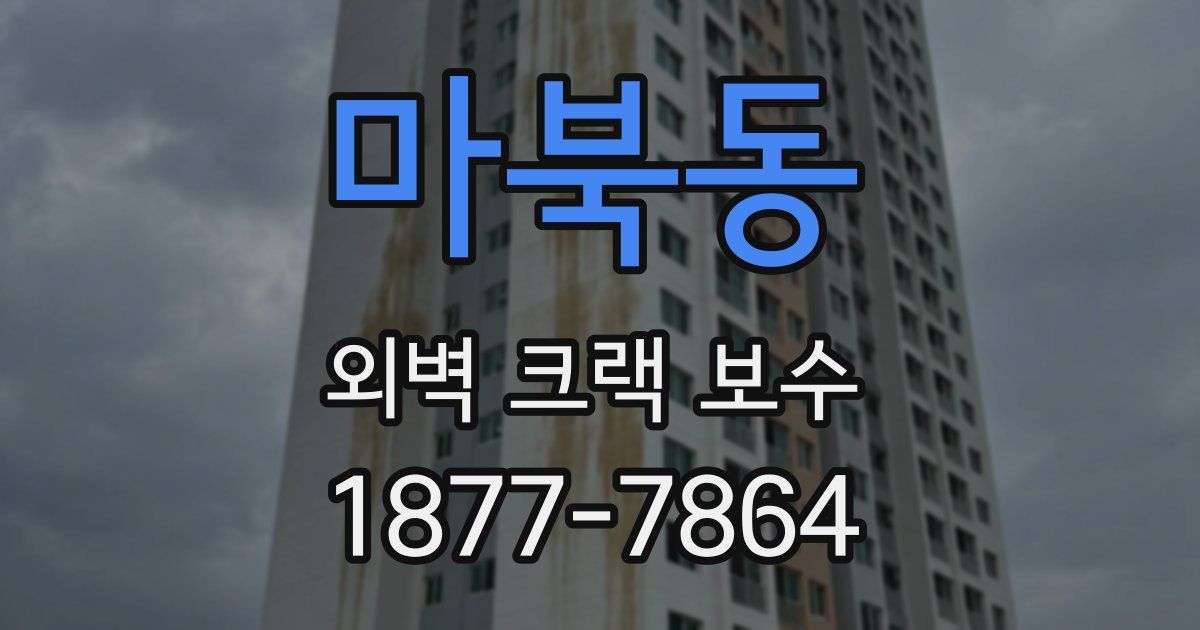 마북동 외벽 크랙 보수