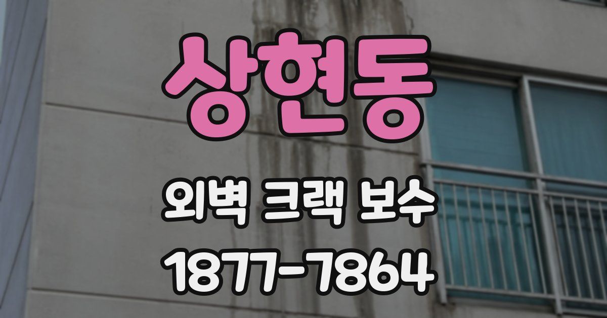 상현동 외벽 크랙 보수