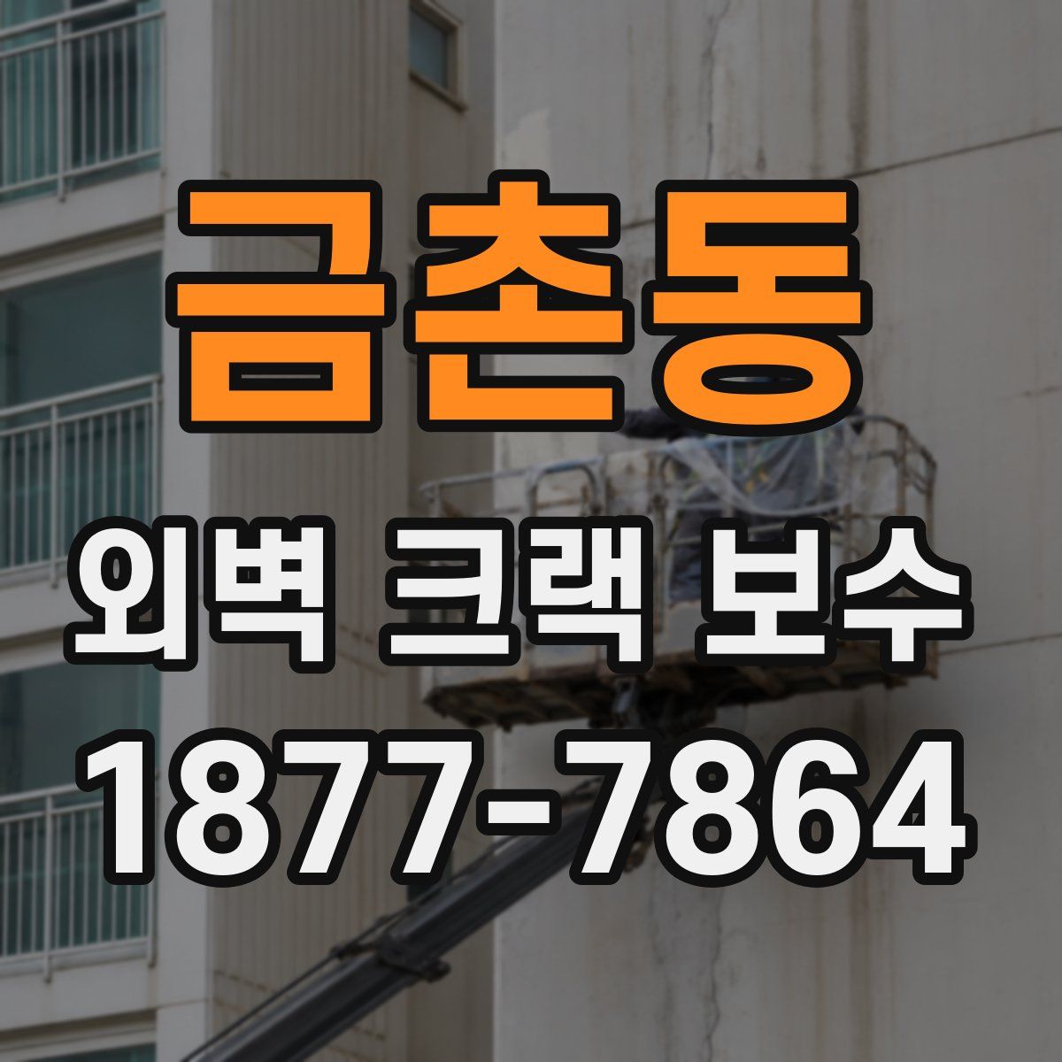 금촌동 외벽 크랙 보수