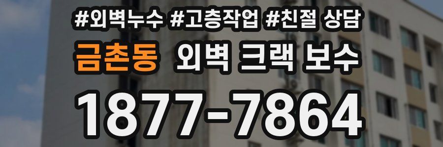 금촌동 외벽 크랙 보수