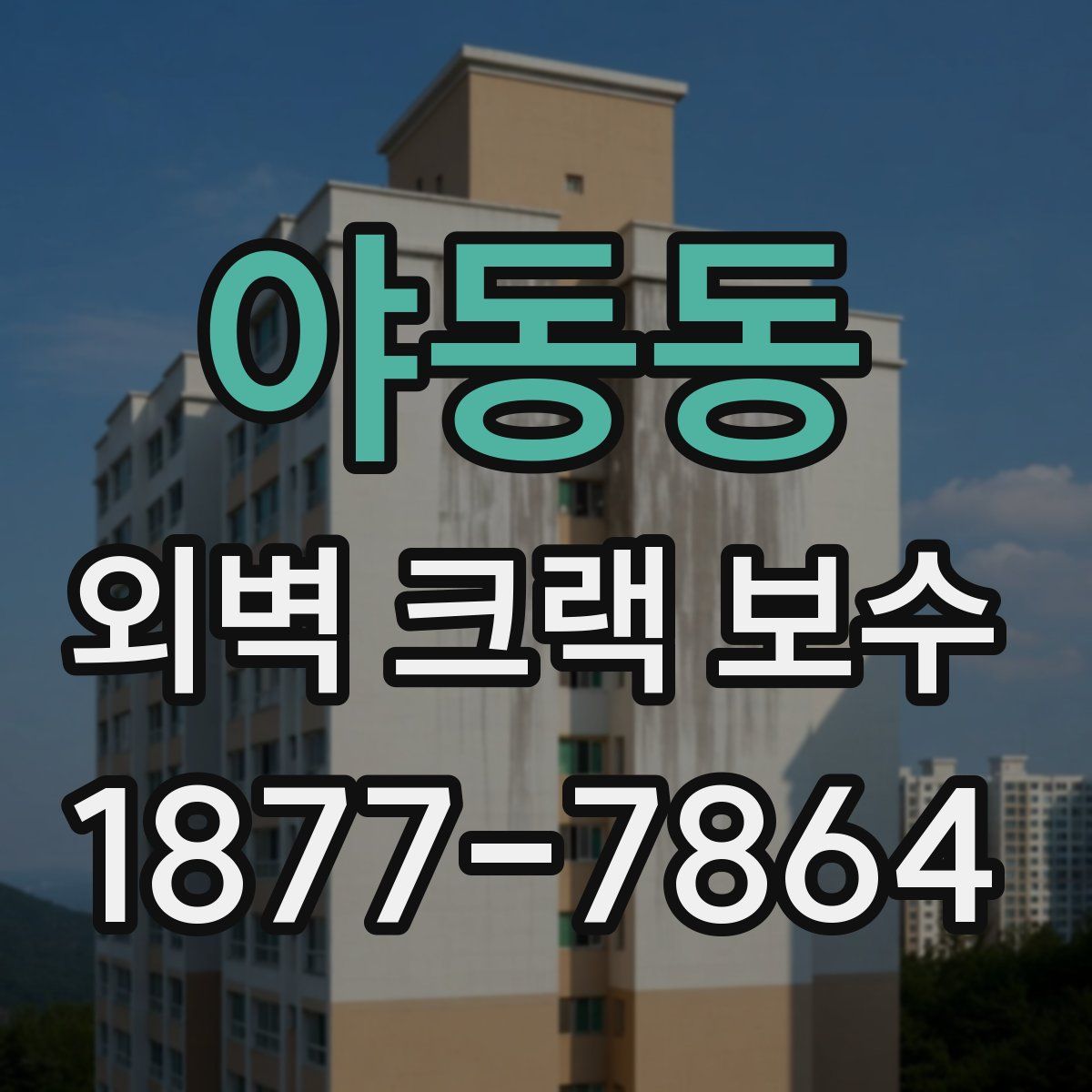 야동동 외벽 크랙 보수