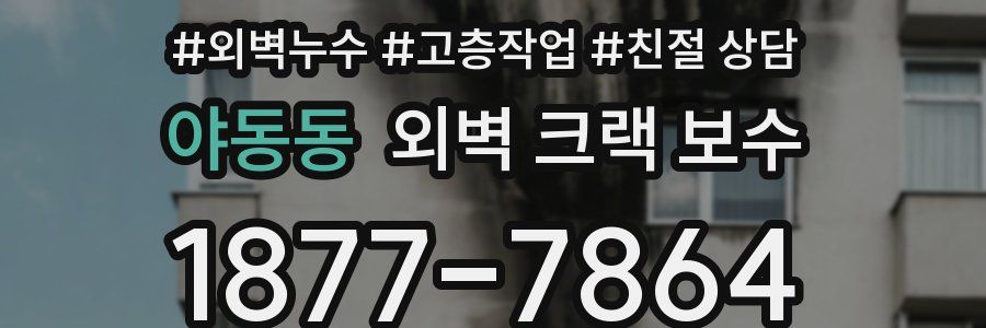 야동동 외벽 크랙 보수