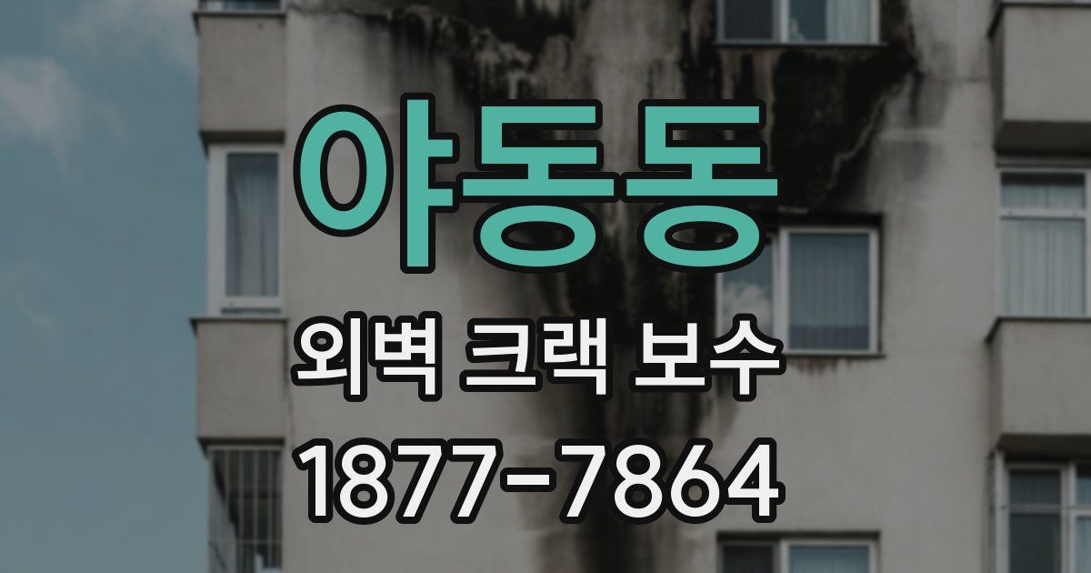 야동동 외벽 크랙 보수