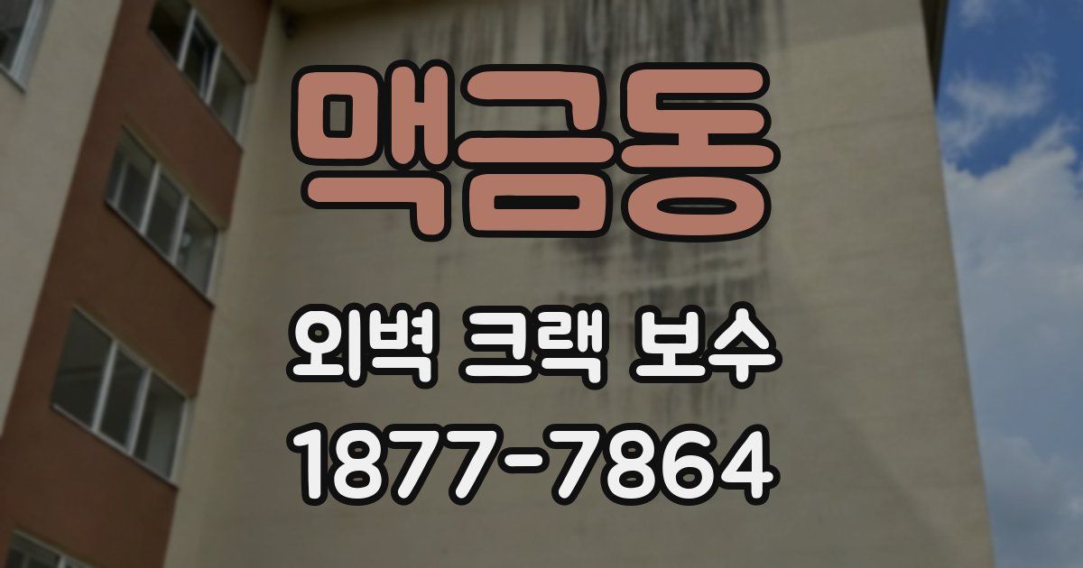 맥금동 외벽 크랙 보수