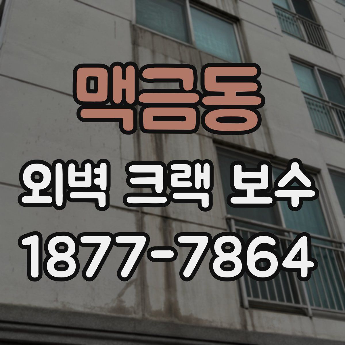 맥금동 외벽 크랙 보수