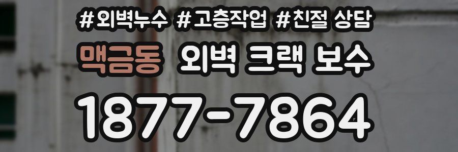 맥금동 외벽 크랙 보수