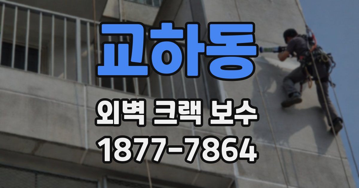 교하동 외벽 크랙 보수