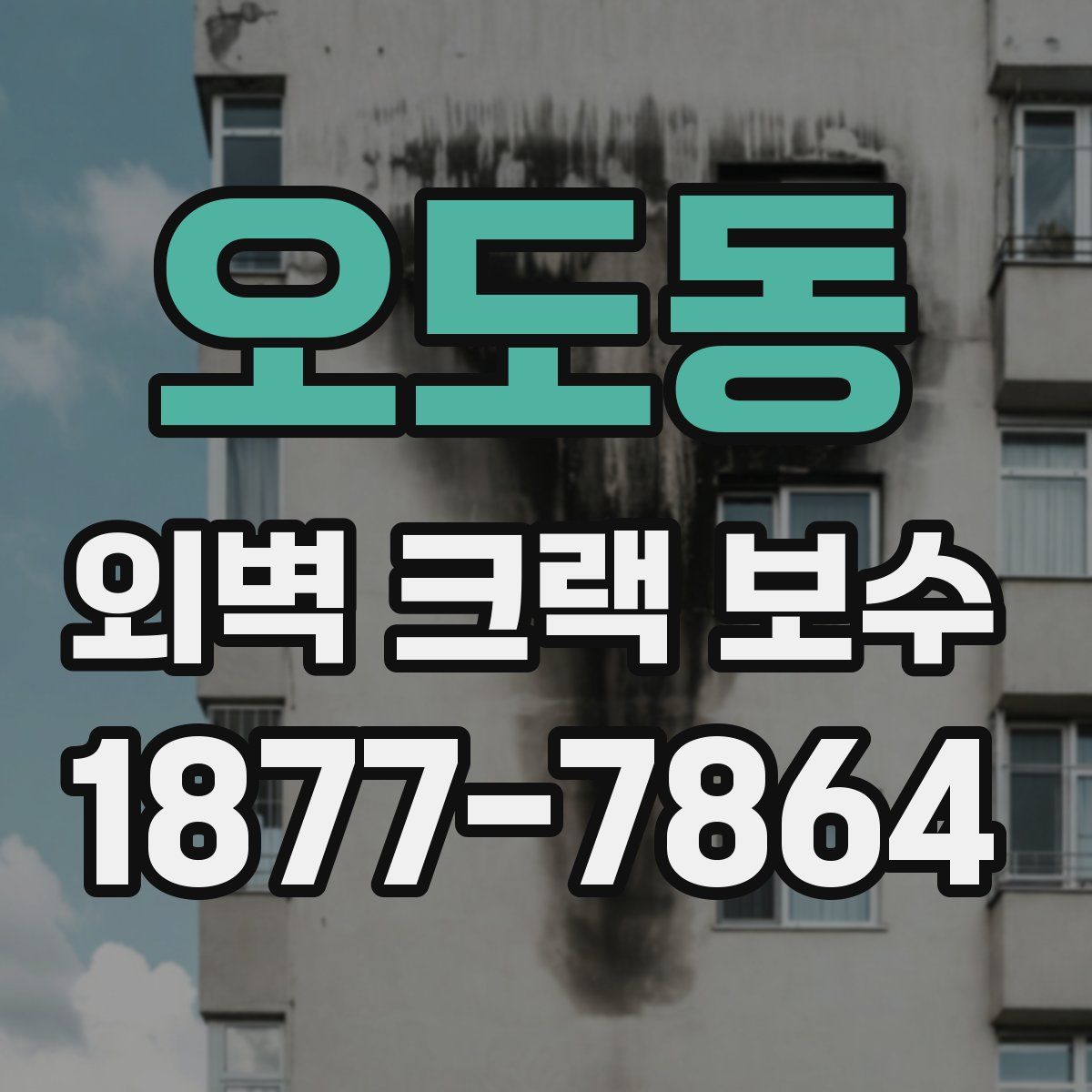 오도동 외벽 크랙 보수