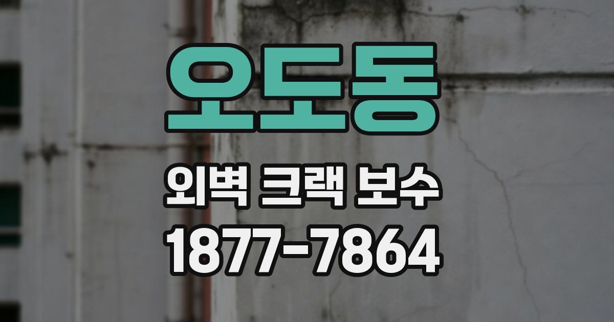 오도동 외벽 크랙 보수