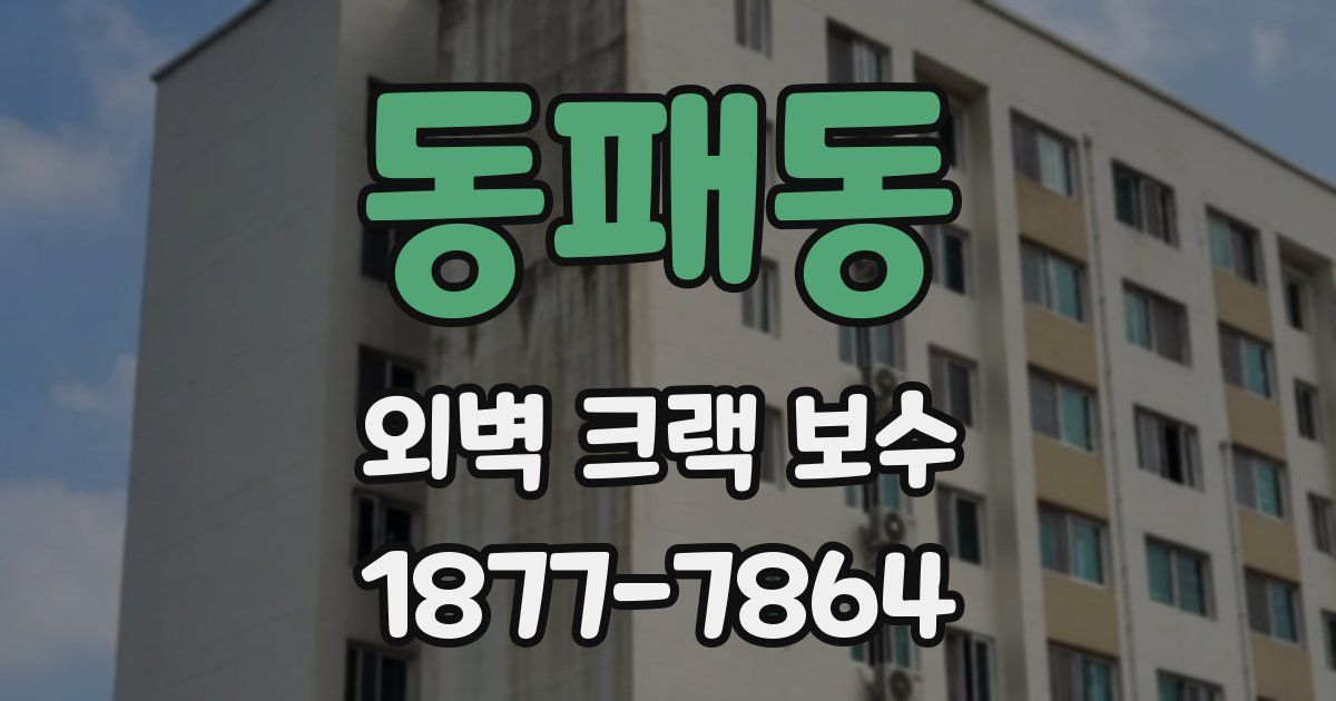 동패동 외벽 크랙 보수