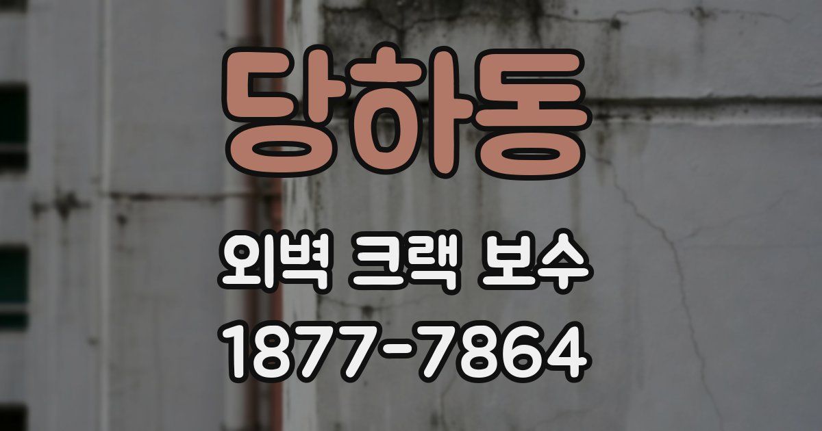 당하동 외벽 크랙 보수