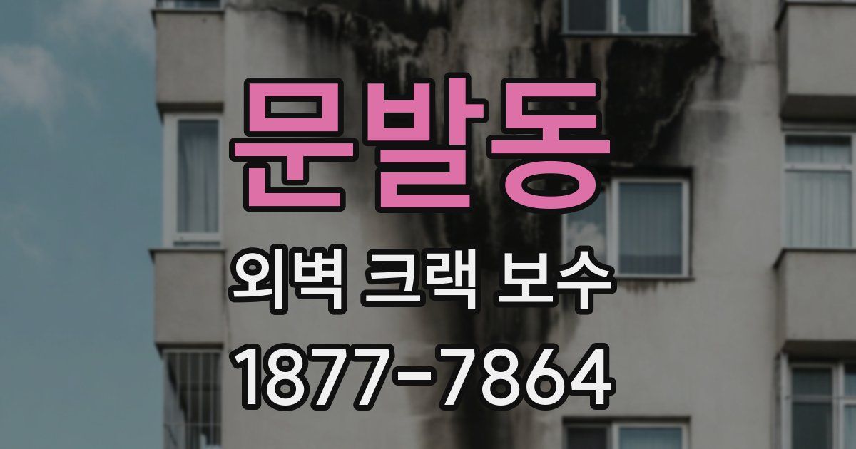 문발동 외벽 크랙 보수