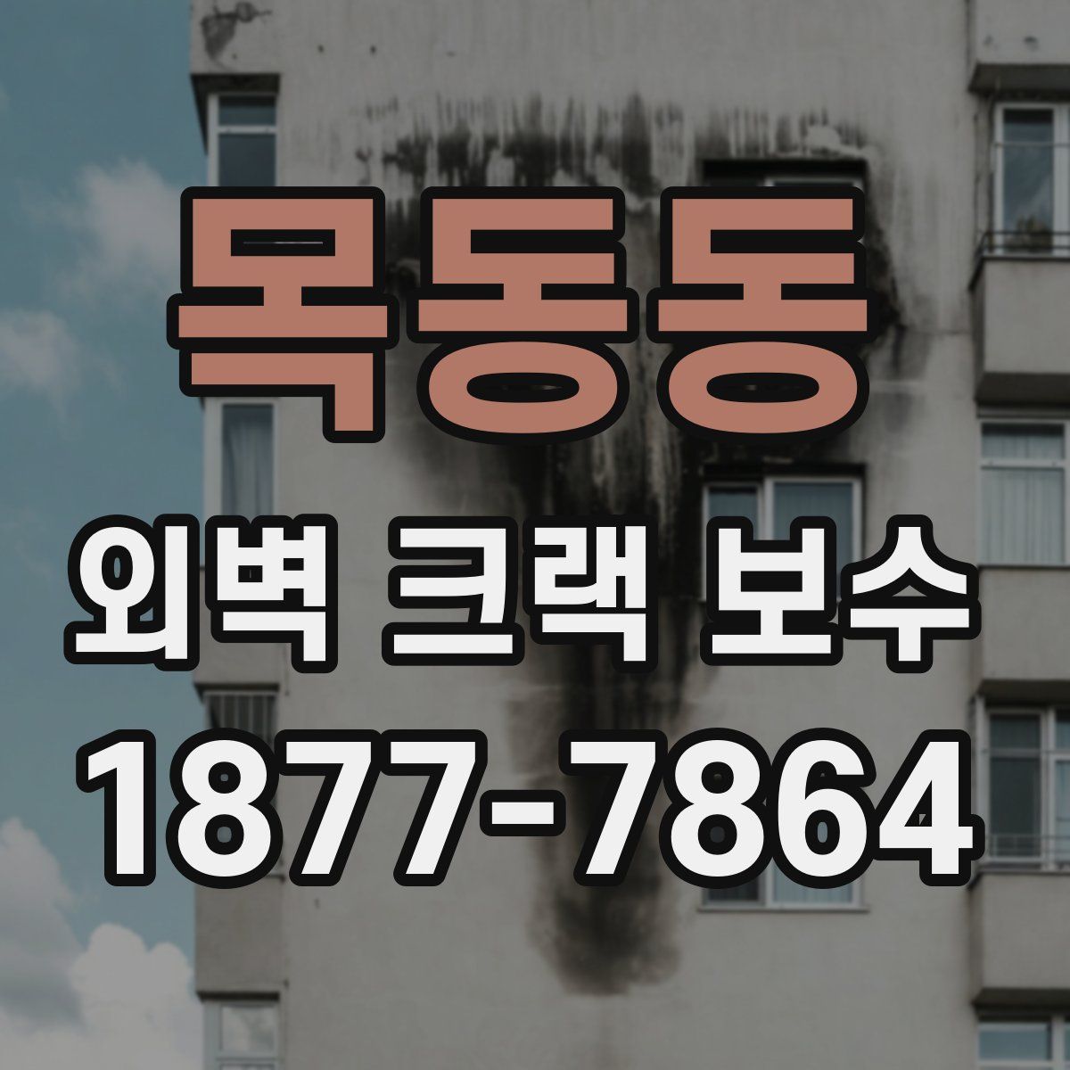 목동동 외벽 크랙 보수