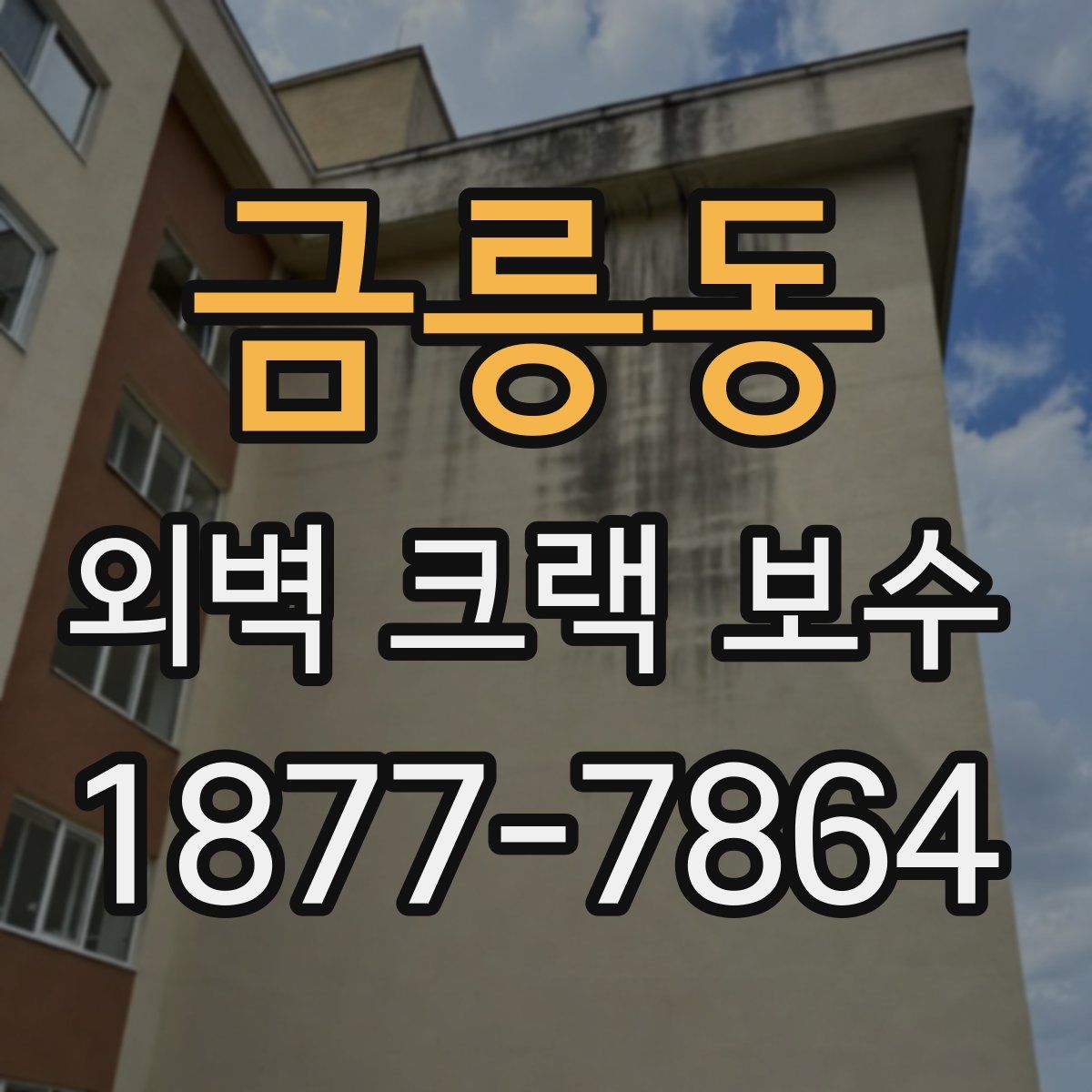 금릉동 외벽 크랙 보수