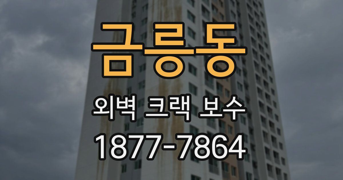 금릉동 외벽 크랙 보수