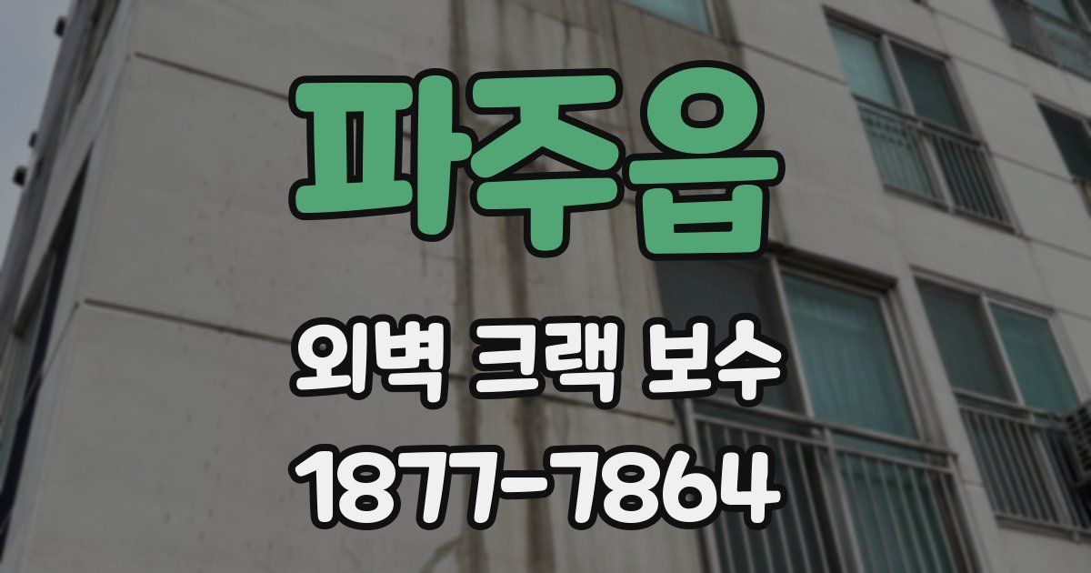 파주읍 외벽 크랙 보수