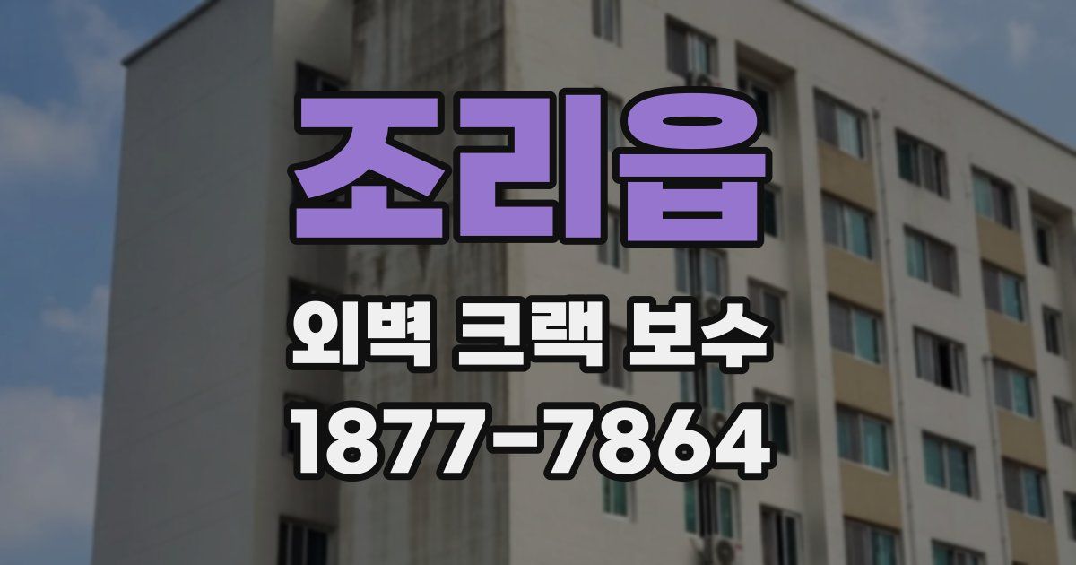 조리읍 외벽 크랙 보수