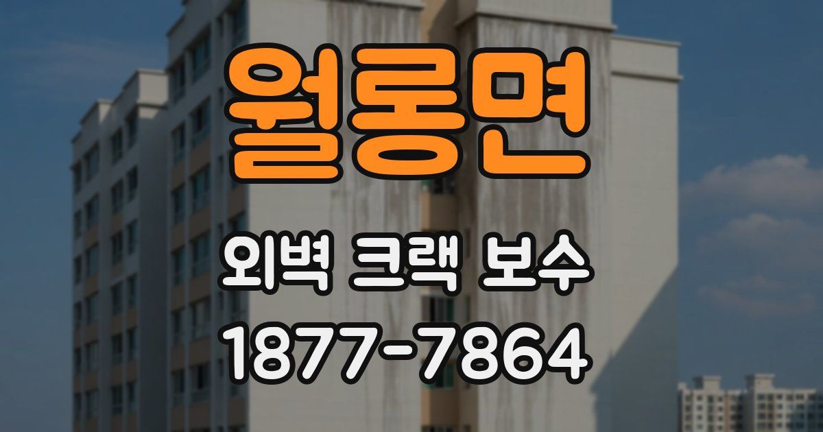 월롱면 외벽 크랙 보수
