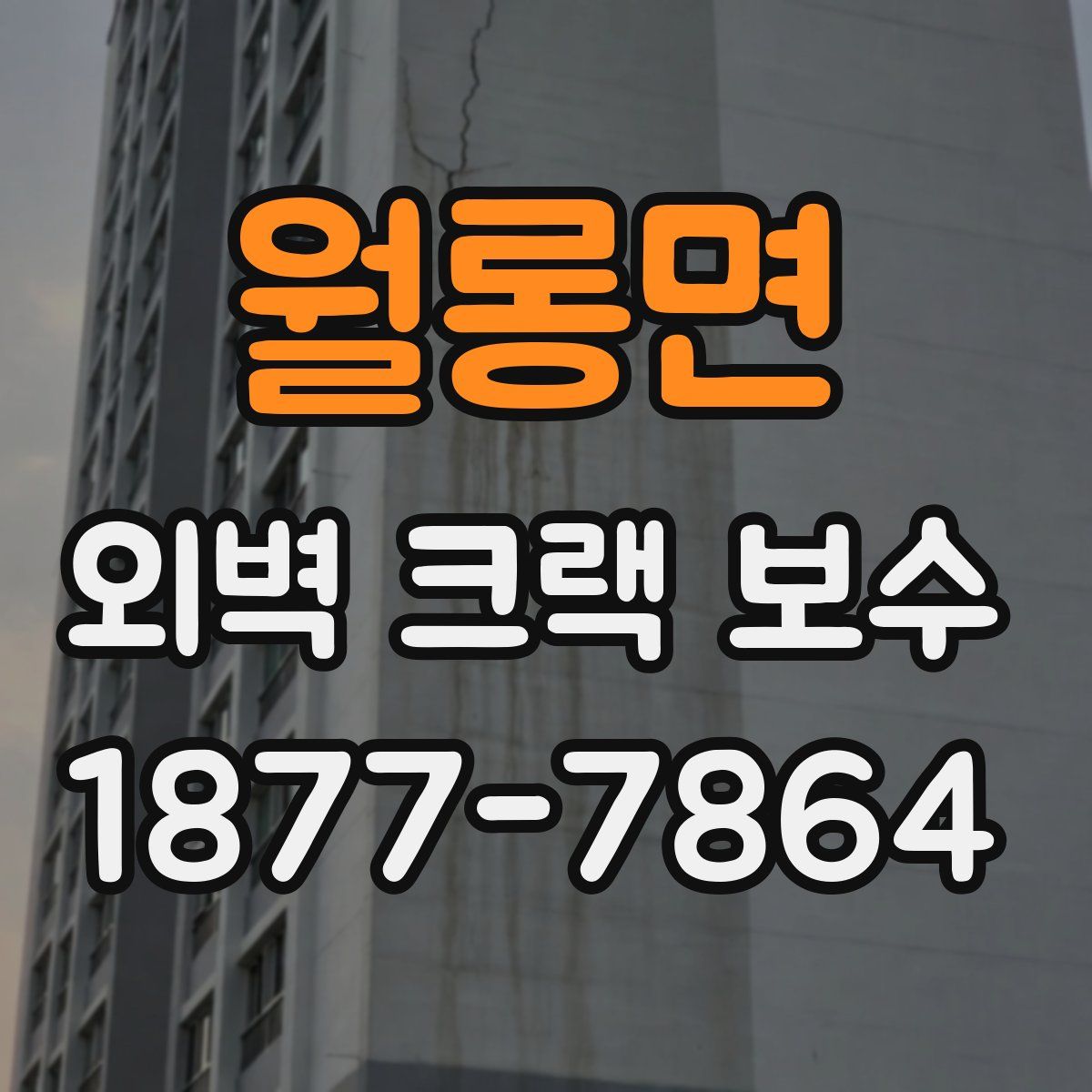 월롱면 외벽 크랙 보수