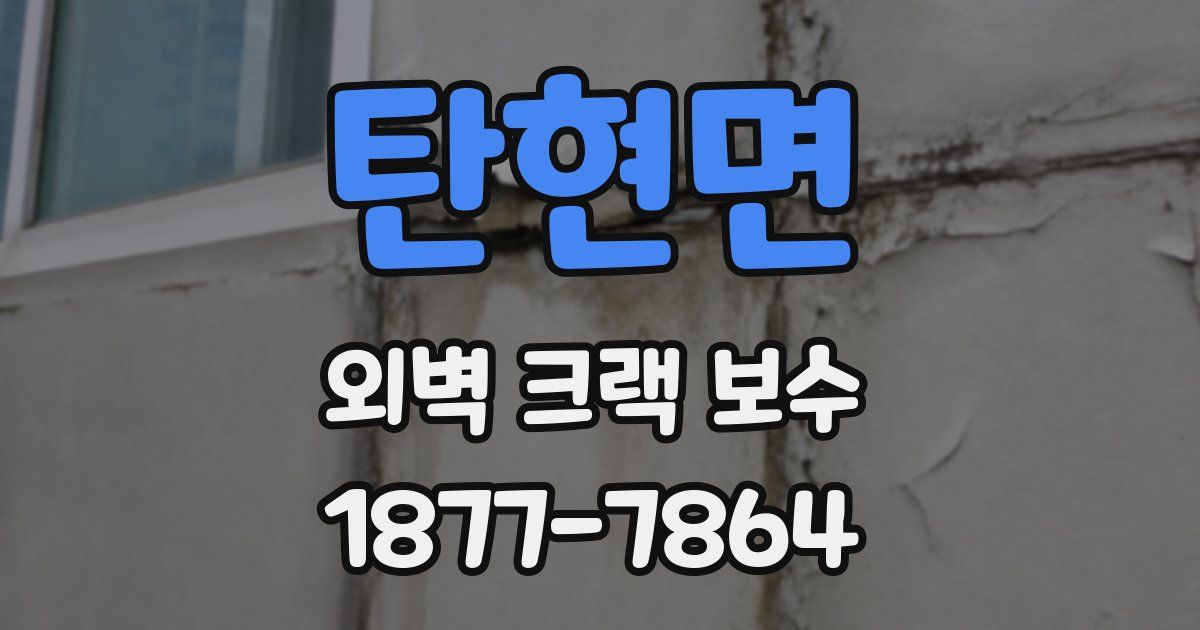 탄현면 외벽 크랙 보수