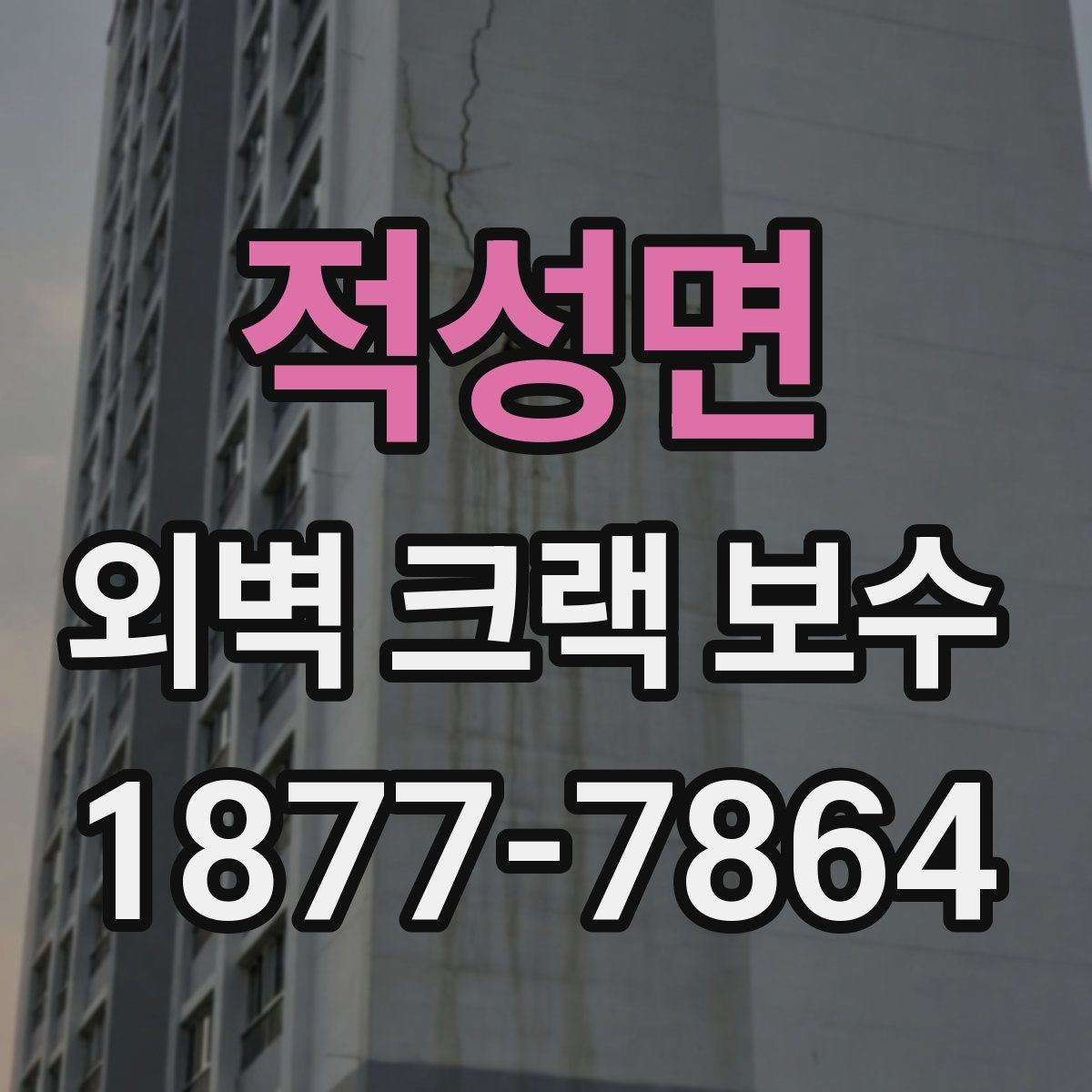 적성면 외벽 크랙 보수