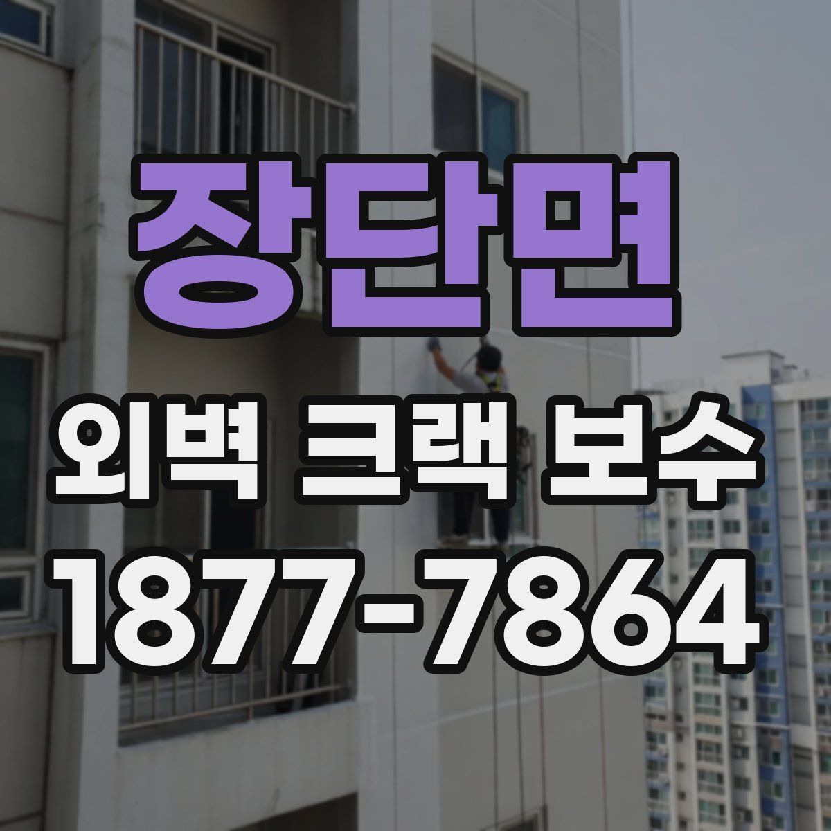 장단면 외벽 크랙 보수