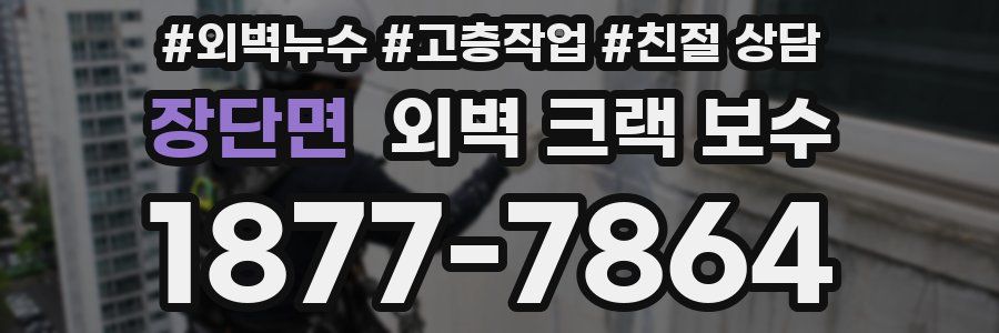 장단면 외벽 크랙 보수