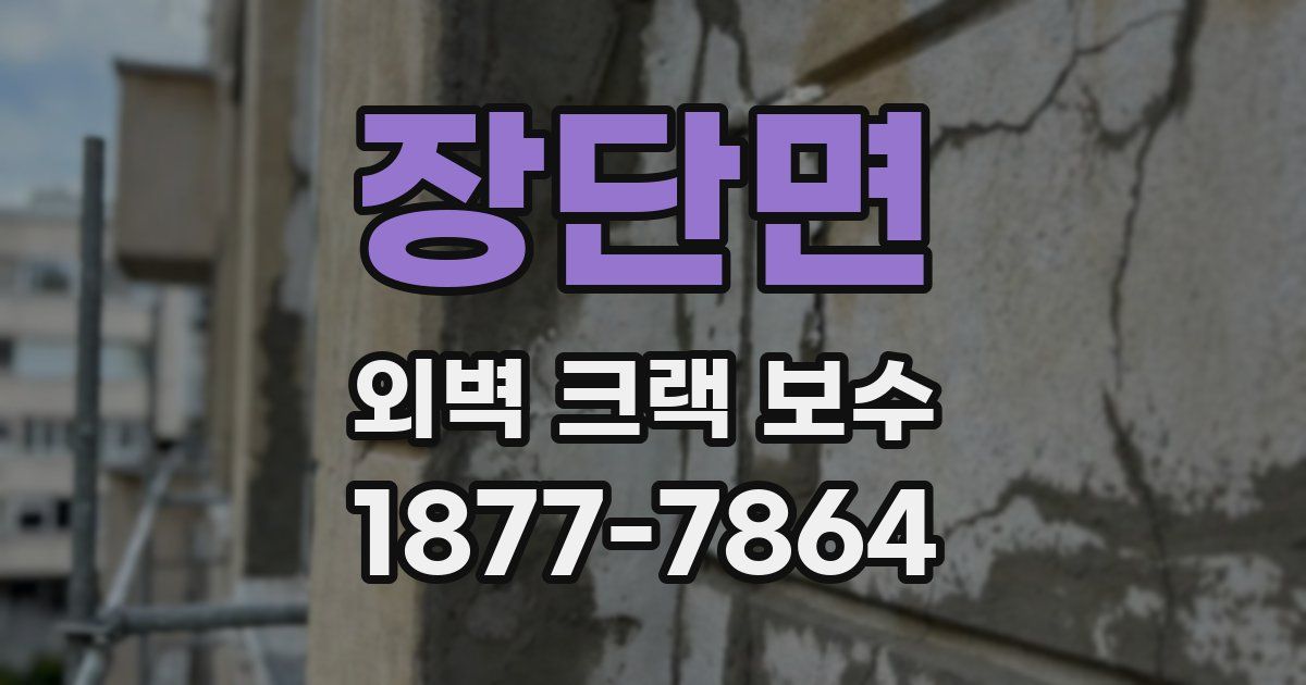 장단면 외벽 크랙 보수