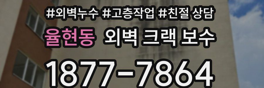 율현동 외벽 크랙 보수