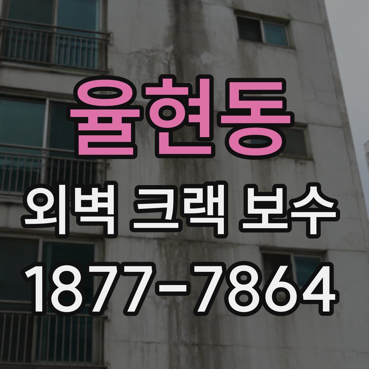 율현동 외벽 크랙 보수