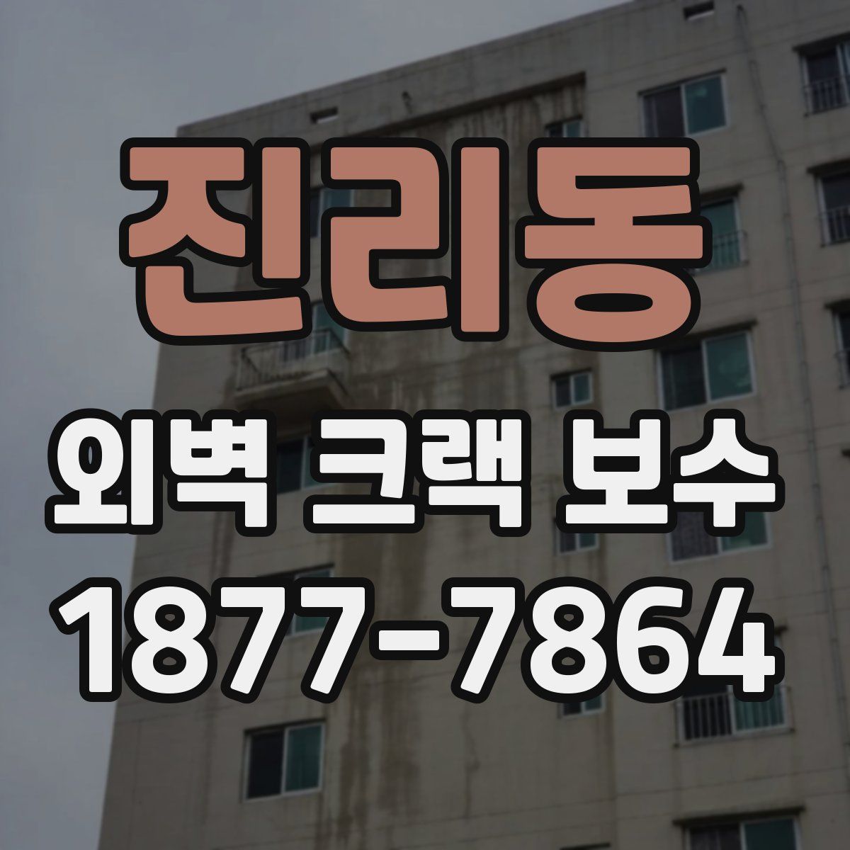 진리동 외벽 크랙 보수