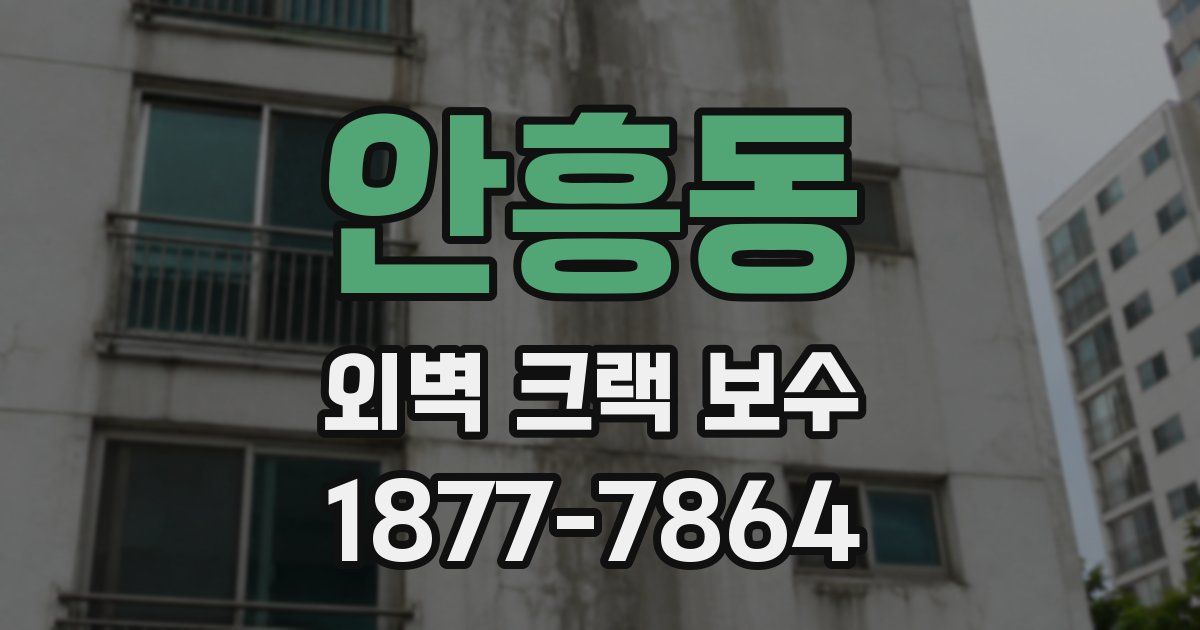 안흥동 외벽 크랙 보수