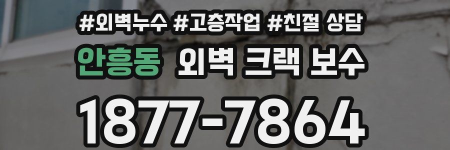 안흥동 외벽 크랙 보수