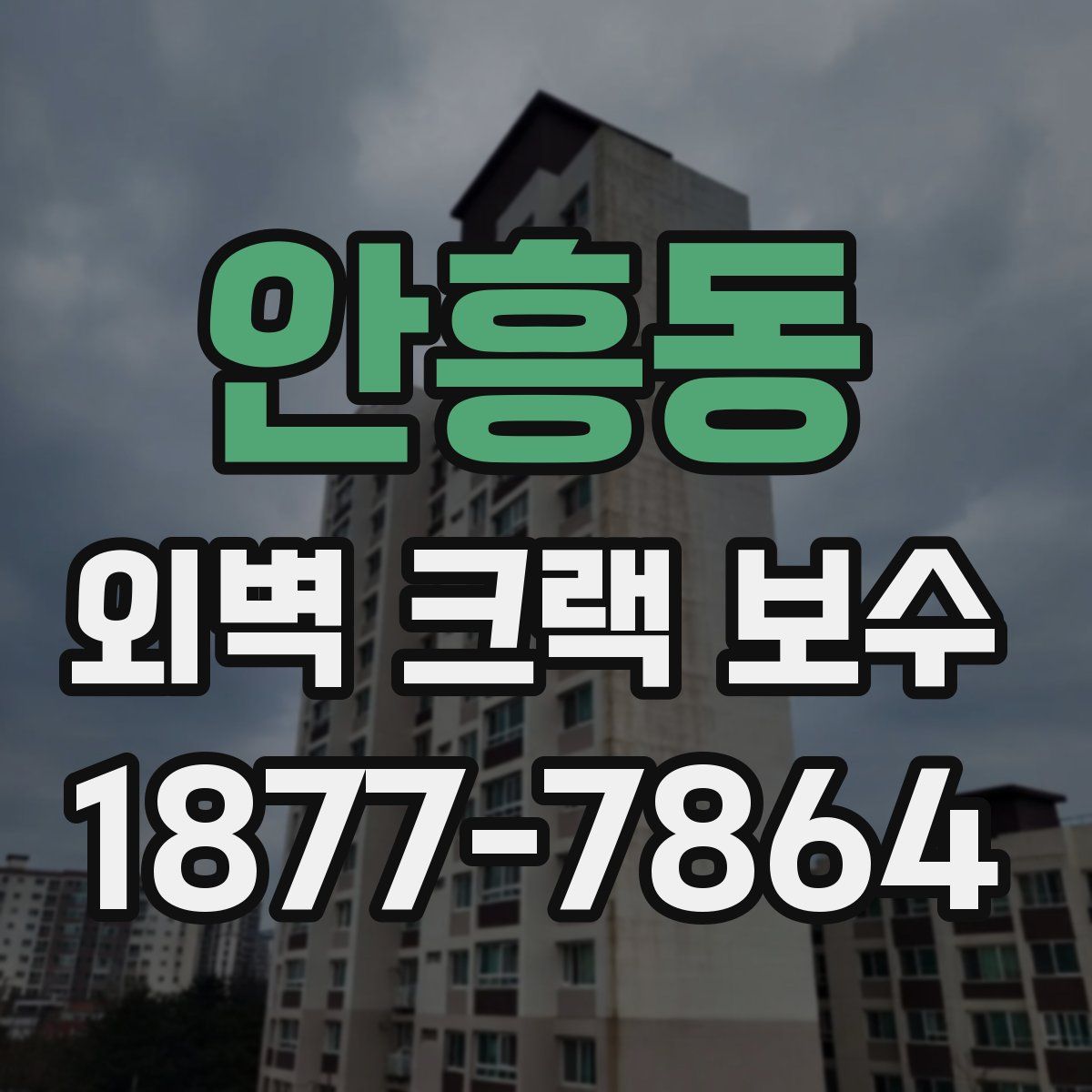 안흥동 외벽 크랙 보수