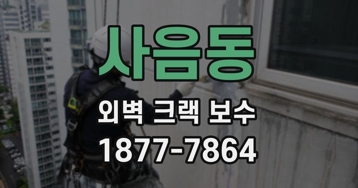 사음동 외벽 크랙 보수