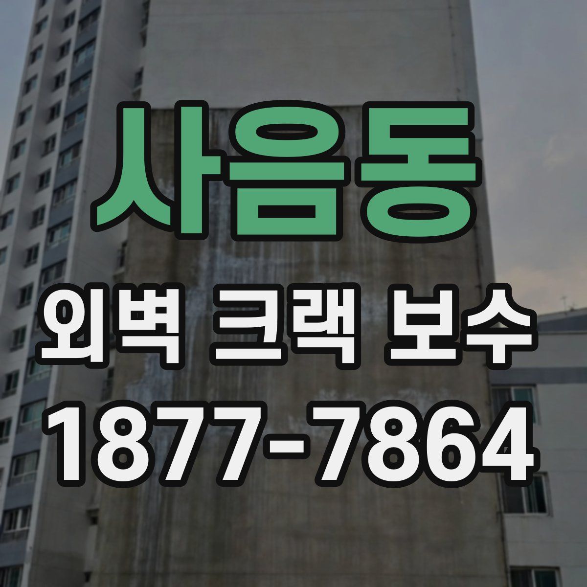 사음동 외벽 크랙 보수