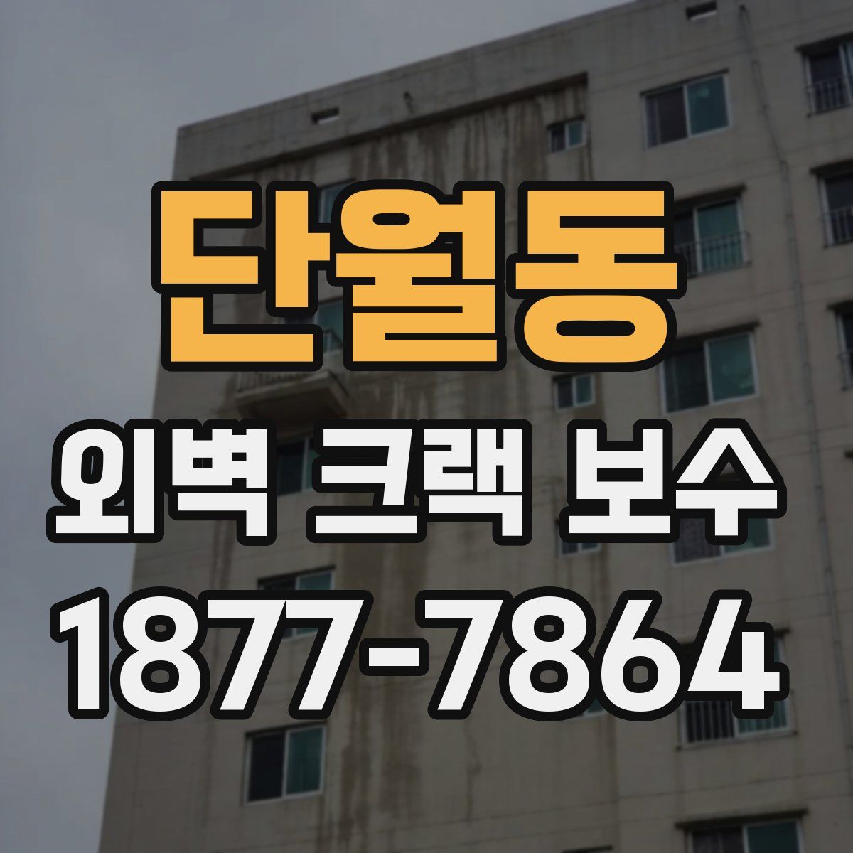 단월동 외벽 크랙 보수
