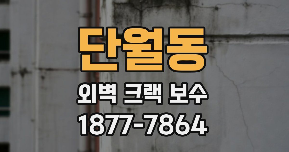 단월동 외벽 크랙 보수