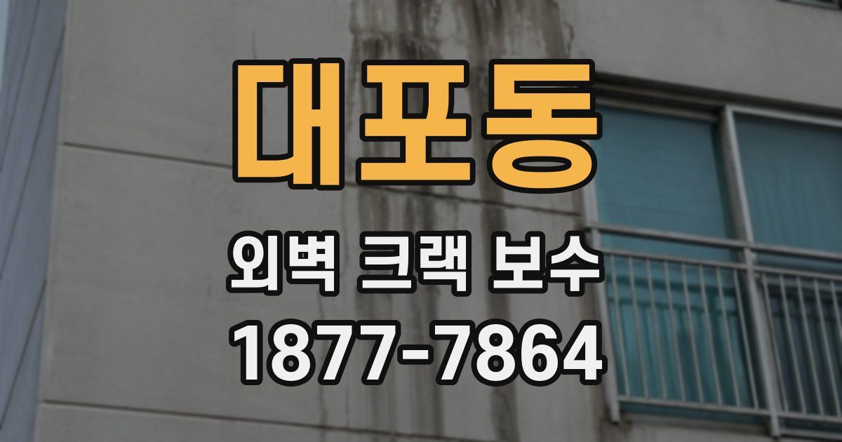 대포동 외벽 크랙 보수