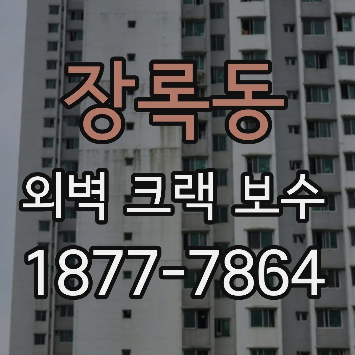 장록동 외벽 크랙 보수 종류와 적용 범위