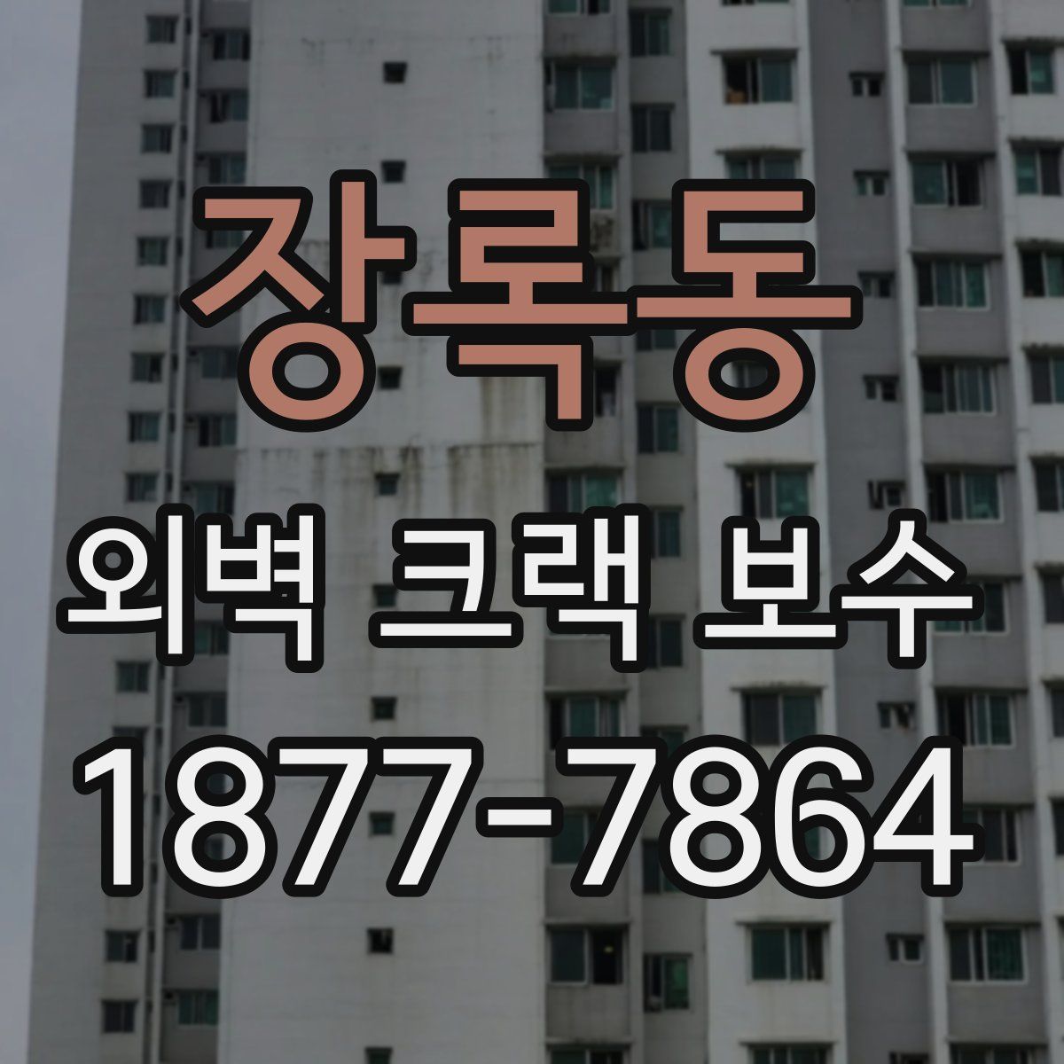 장록동 외벽 크랙 보수