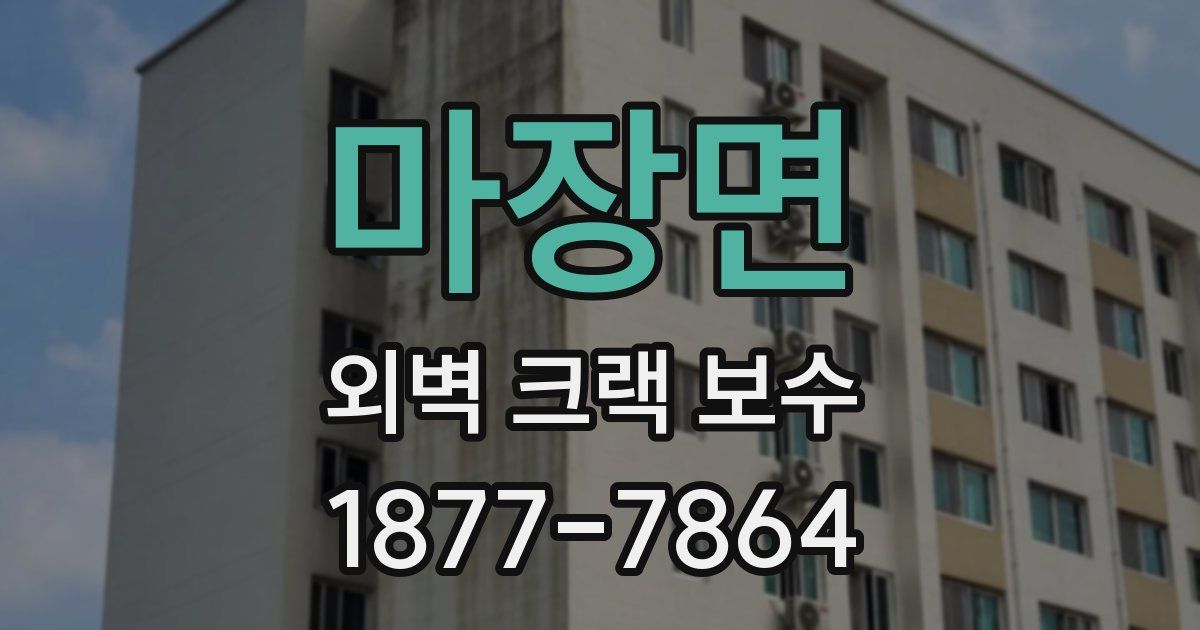 마장면 외벽 크랙 보수