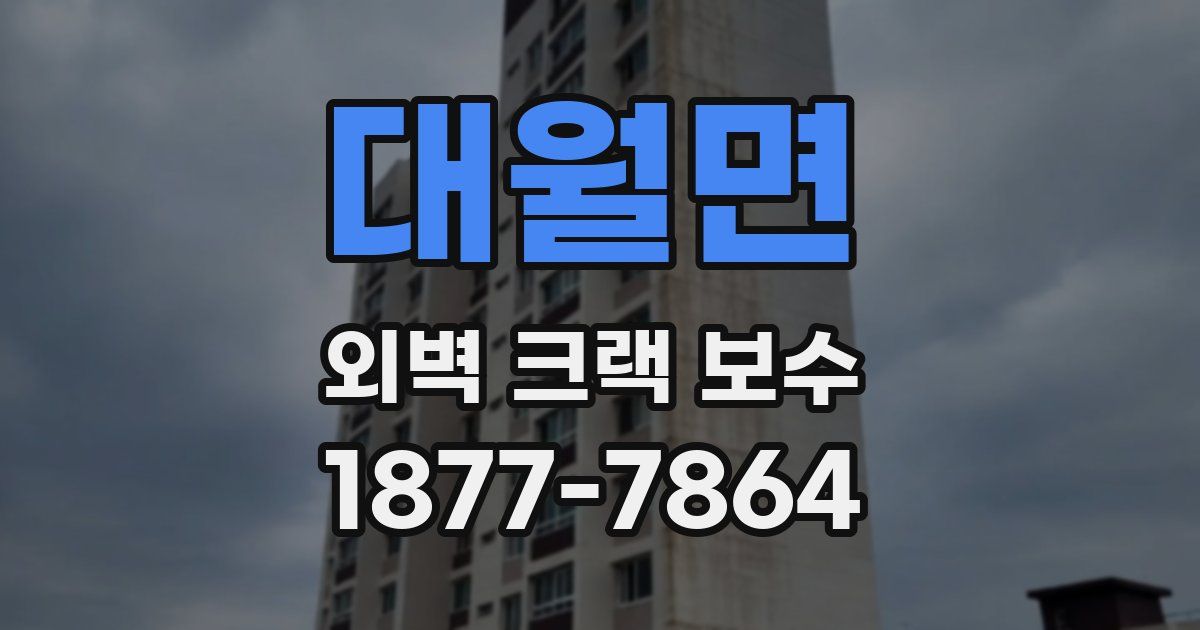 대월면 외벽 크랙 보수
