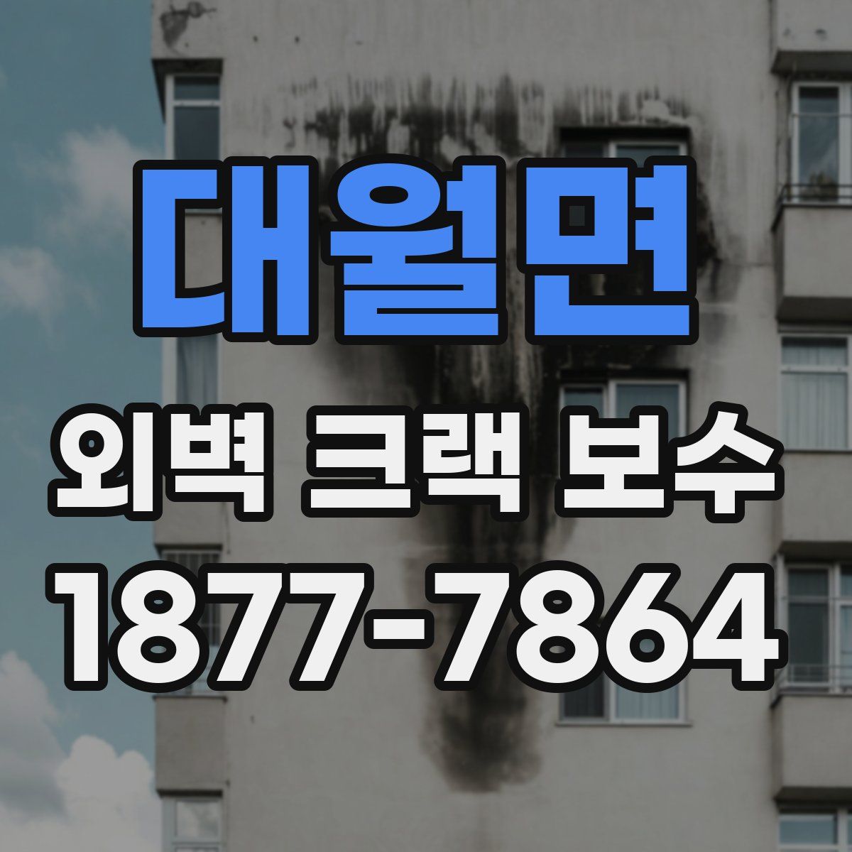대월면 외벽 크랙 보수
